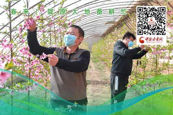 海報丨春來！隴原大地春耕忙
