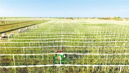 聚焦精準(zhǔn)攻堅(jiān) 做實(shí)產(chǎn)業(yè)扶貧——慶陽(yáng)市脫貧攻堅(jiān)工作綜述