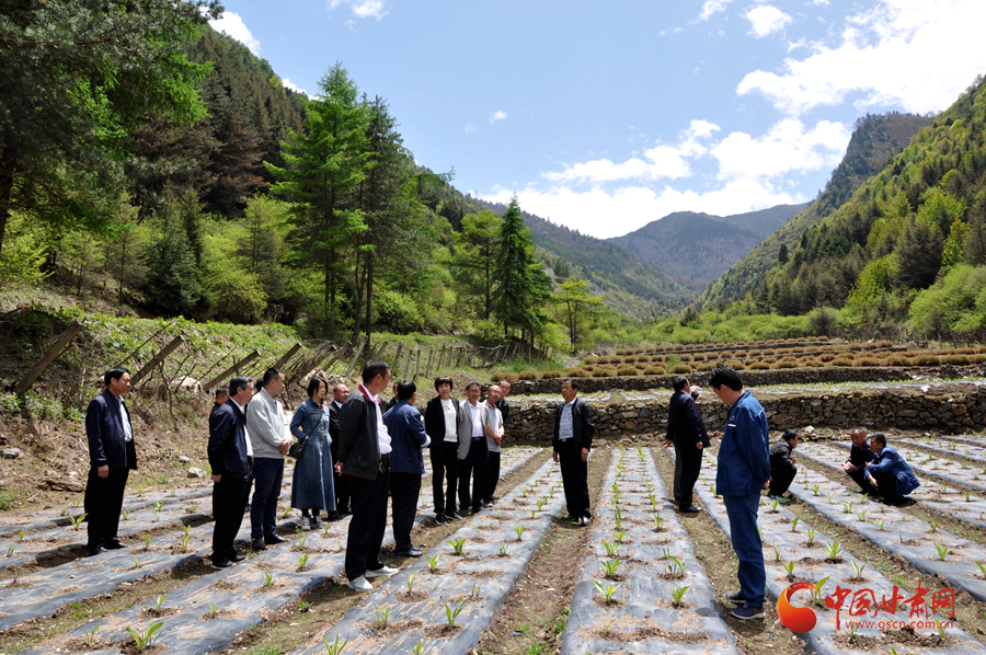 白龍江博峪河保護(hù)局開展產(chǎn)業(yè)發(fā)展、義務(wù)勞動(dòng)成果現(xiàn)場(chǎng)觀摩交流活動(dòng)