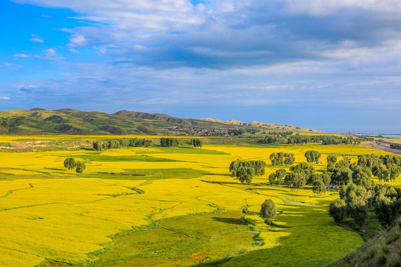 創(chuàng)意海報丨甘肅的美，你來了才知道
