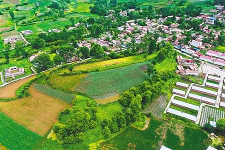 【溫暖的回響 滄桑巨變 飲水思源】這條路，通往幸福