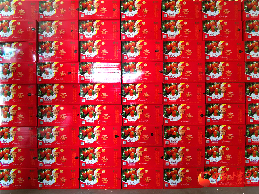 慶陽寧縣曹杏搭載電商“順風車”走四方（圖）