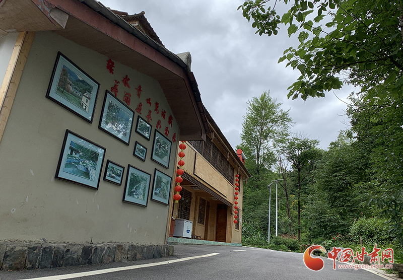 【走向我們的小康生活】村美、業(yè)興、民富……康縣何家莊描繪鄉(xiāng)村振興新畫卷（圖）