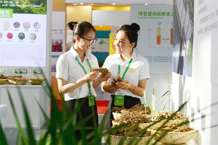 定西，從“千年藥鄉(xiāng)”邁向“中國藥都”