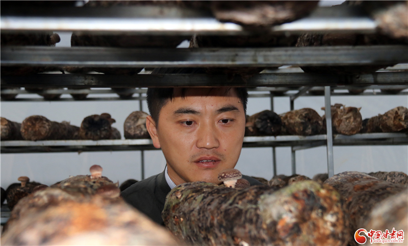 110年！何家溝村終于有了集體經(jīng)濟——中建二局黨建結對幫扶成效顯著