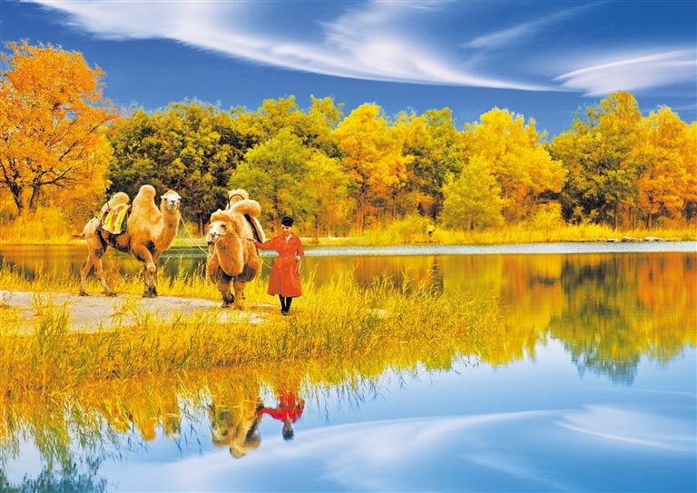 國(guó)慶長(zhǎng)假，去金塔遇見(jiàn)最美胡楊