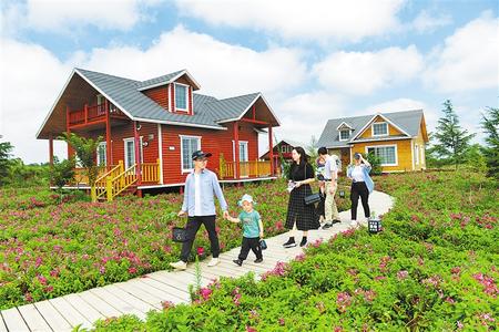 慶陽寧縣堅持因地制宜興產業(yè)使得群眾脫貧奔小康的底氣更足