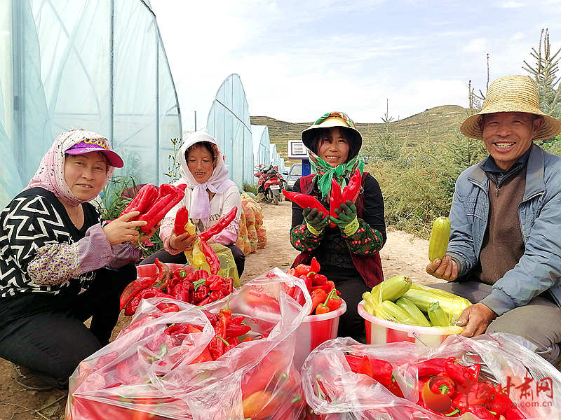 甘肅渭源：美麗笑容里話(huà)豐收（組圖）