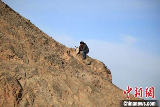 圖為敦煌“80后”畫家張杰龍在敦煌三危山里采集礦石顏料。(資料圖)受訪者供圖