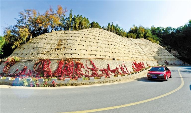 近90度陡坡上種樹！蘭州南北兩山綠化出新招