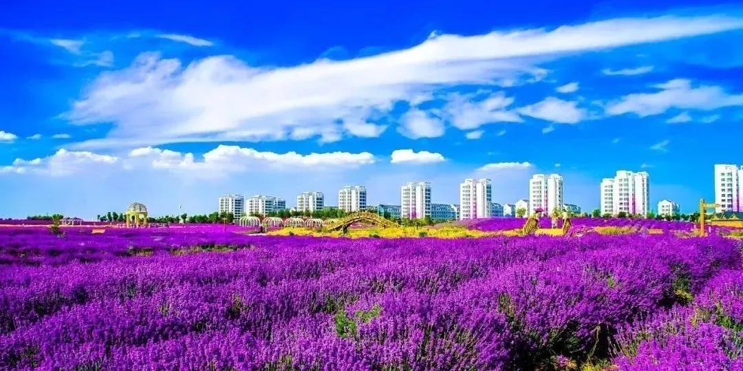 喜訊！金昌蟬聯(lián)全國文明城市