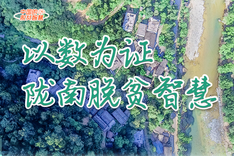 【中國的脫貧智慧】以數(shù)為證！隴南脫貧智慧來了！