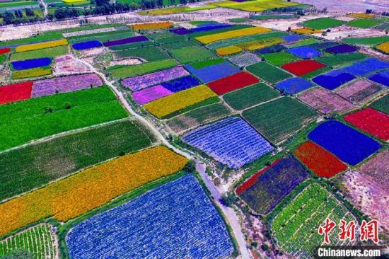 甘肅酒泉：除了天時地利，還有一“種”力