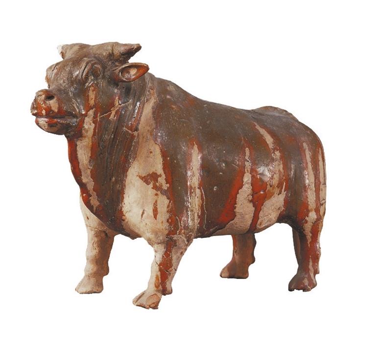 打開(kāi)眼界丨牛年看牛，越看越牛!