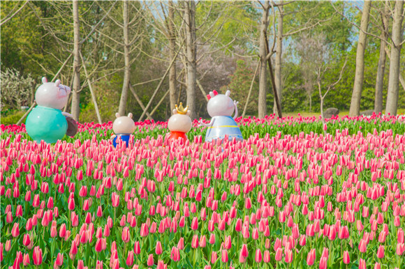 長(zhǎng)壽湖郁金香次第開(kāi)放。羅云希 攝