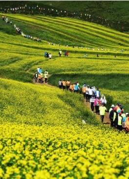 甘肅明確農(nóng)民進(jìn)城落戶:不以退出承包地、林地等為條件