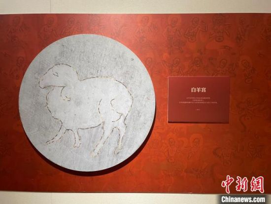 圖為展覽現(xiàn)場(chǎng)?！〗瓧顭?攝