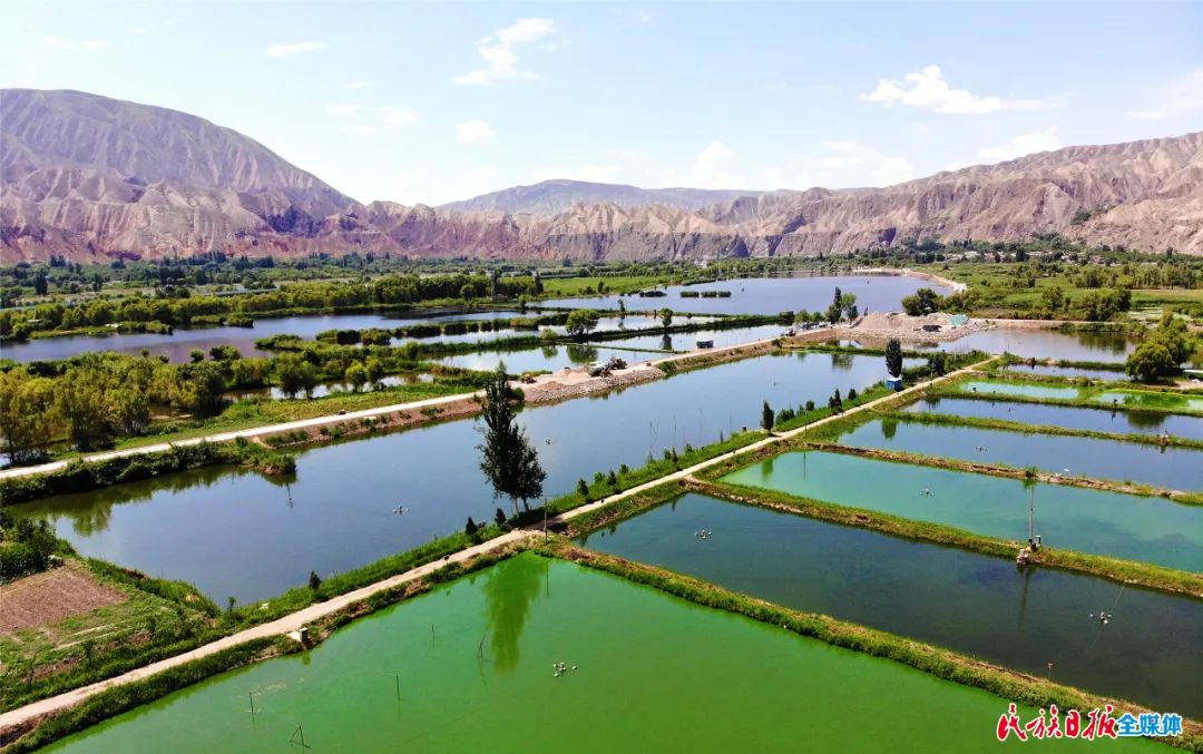 一秒入畫(huà)！太極島濕地風(fēng)光秀麗