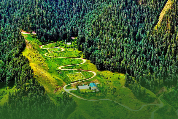 海報(bào)|祁連山保護(hù)區(qū)生態(tài)環(huán)境問題整改全面完成！