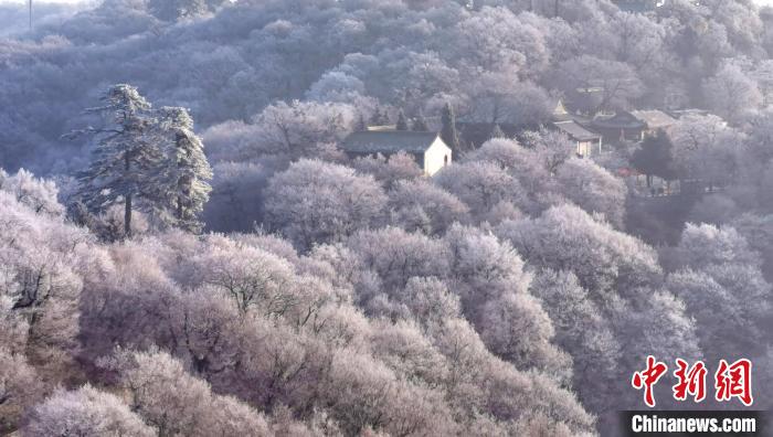 圖為霧凇美景?！⌒煺袢A 攝
