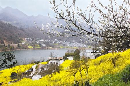 隴南文縣范壩鎮(zhèn)讓水河畔風(fēng)光旖旎