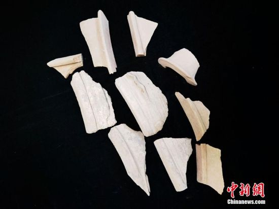 圖為靜寧縣賈河鄉(xiāng)竇坪村出土的彩陶片、紅陶片。 夏劍鋒 攝