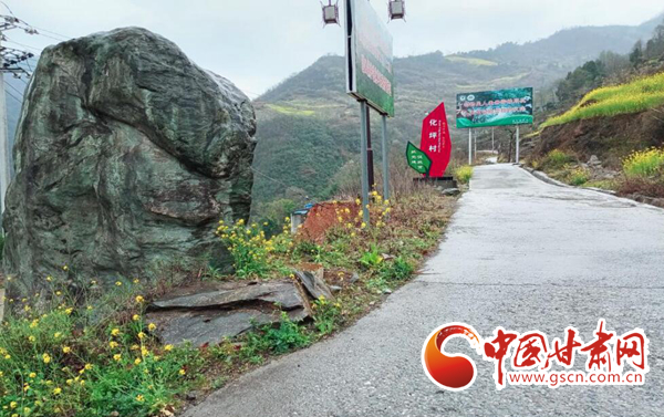 隴南市文縣中廟鎮(zhèn)：春濃人勤早 采茶正當(dāng)時