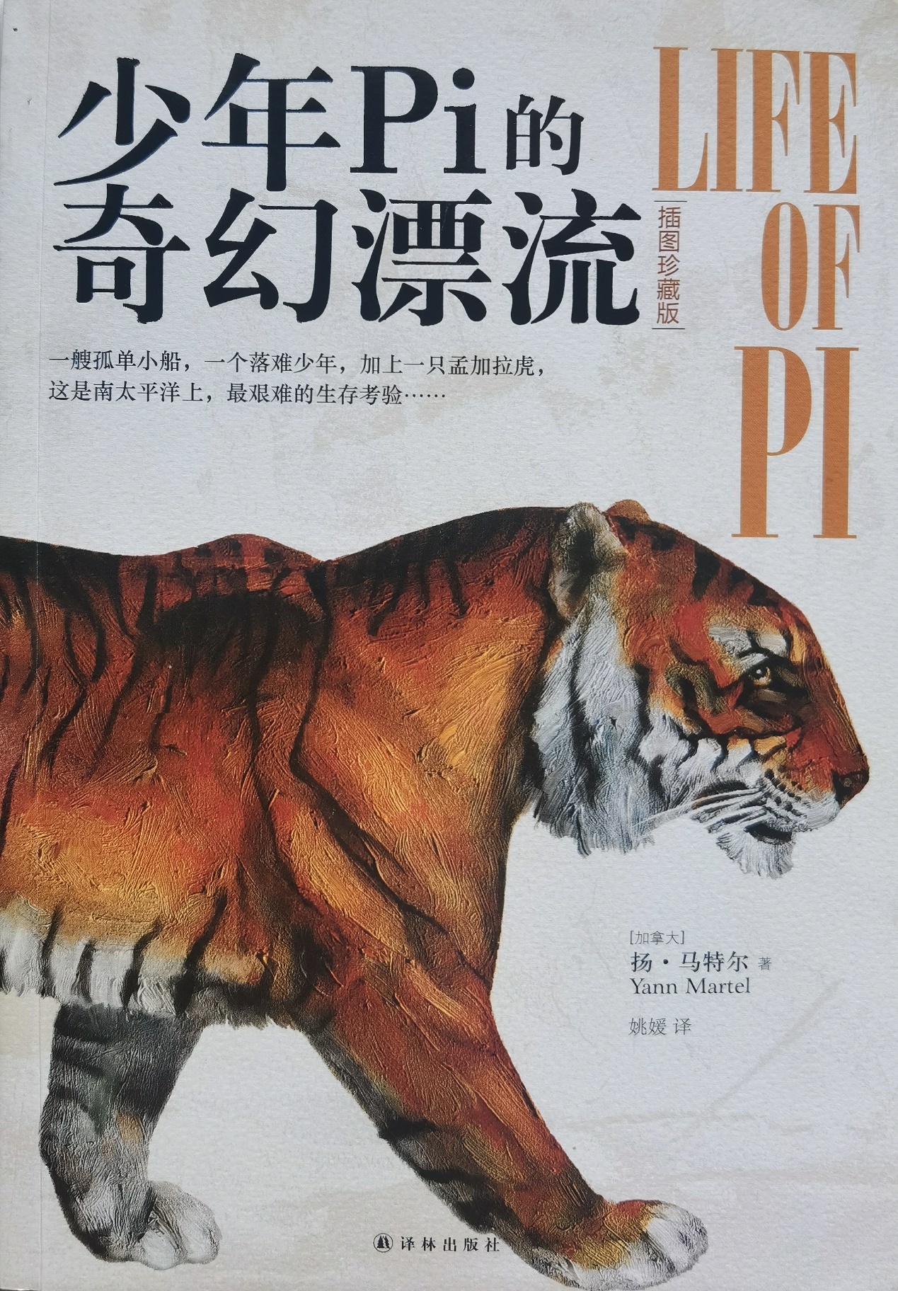 插圖1：揚(yáng)？馬特爾的小說《少年pi的奇幻漂流》封面