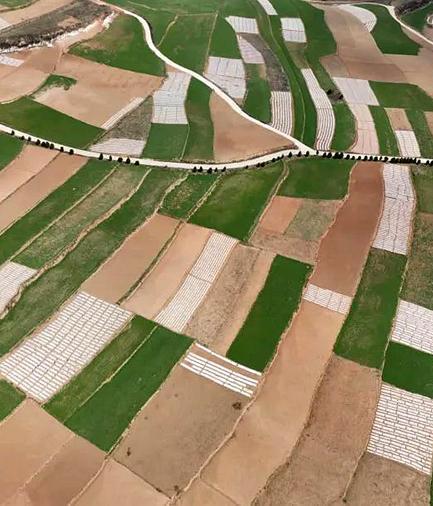 【小隴畫報(bào)·137期】千里隴原沐春光  耕耘田野盼豐年