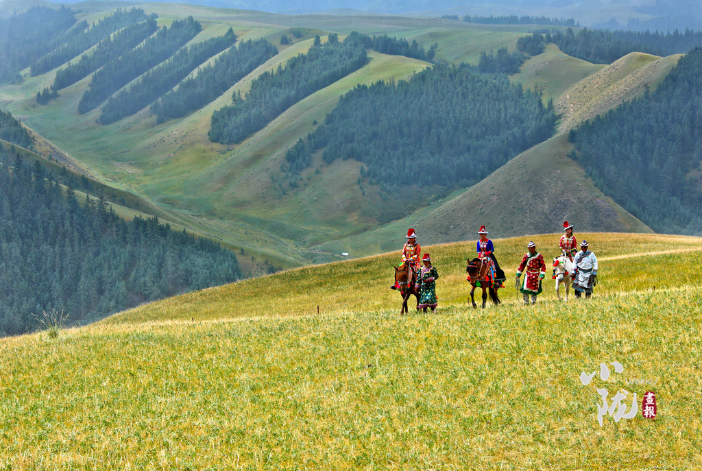 【小隴畫報(bào)·144期】張掖肅南：民族風(fēng)從草原來(lái)