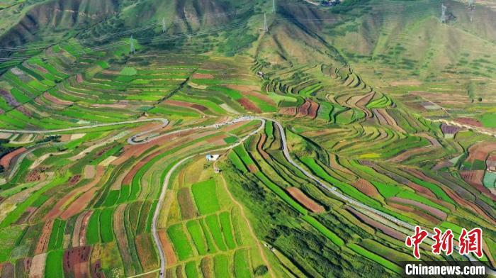 秋日里，榆中縣馬坡鄉(xiāng)千畝梯田，不同農(nóng)作物漸趨成熟，呈現(xiàn)出多種色彩，宛若大地的“調(diào)色盤”?！圆?攝