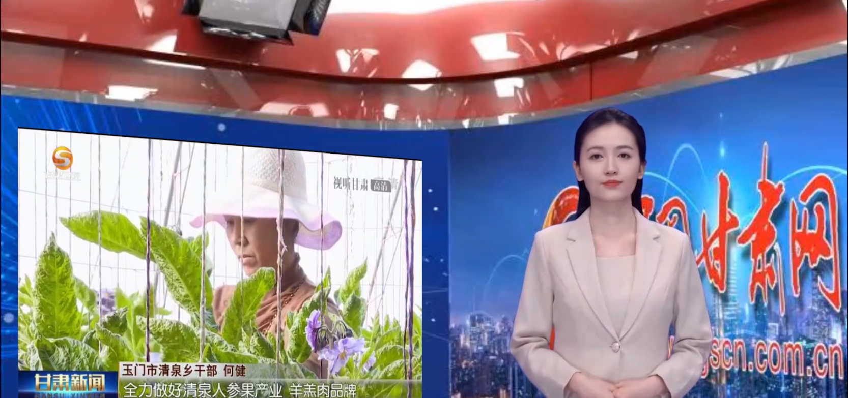 【AI小隴說·黨的二十大精神在基層】示范建設(shè)為引領(lǐng)，美麗鄉(xiāng)村畫中來