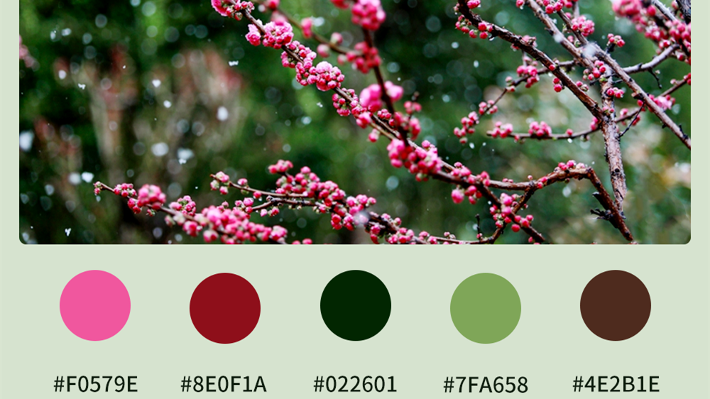 微海報|收藏！色卡里的春日甘肅