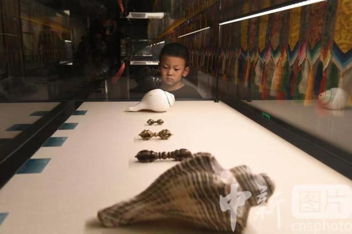 圖為展出的“白海螺法器”吸引小觀眾。 中新社記者 戴文昌 攝