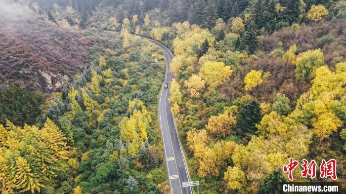 深秋，航拍位于蘭州市榆中縣的興隆山，景色如畫。金峯 攝</p>
<p>