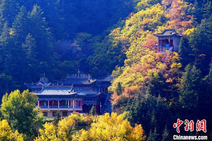 深秋，位于蘭州市榆中縣的興隆山景色如畫。宮衛(wèi)紅 攝