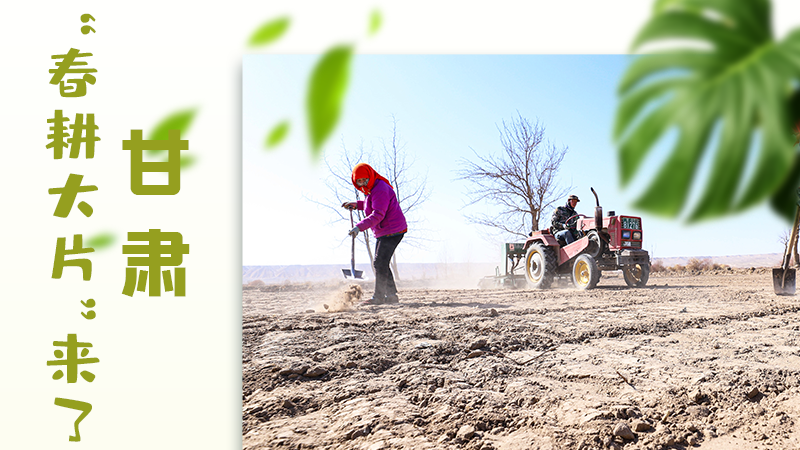 【甘快看】海報(bào)|瞧！甘肅“春耕大片”來(lái)了