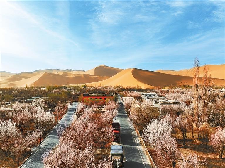 近日，敦煌鳴沙山下的李廣杏杏花陸續(xù)開(kāi)放，美如畫卷。新甘肅·甘肅日?qǐng)?bào)通訊員　張曉亮