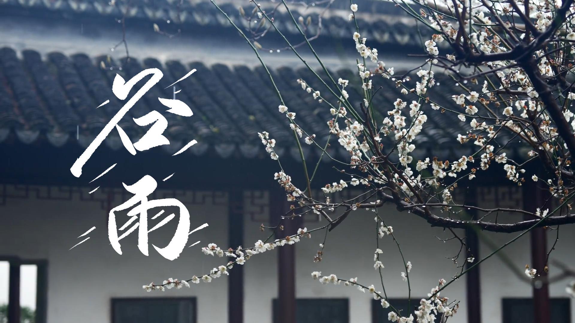 【節(jié)氣里的大美甘肅】谷雨，春天的最后一次回眸