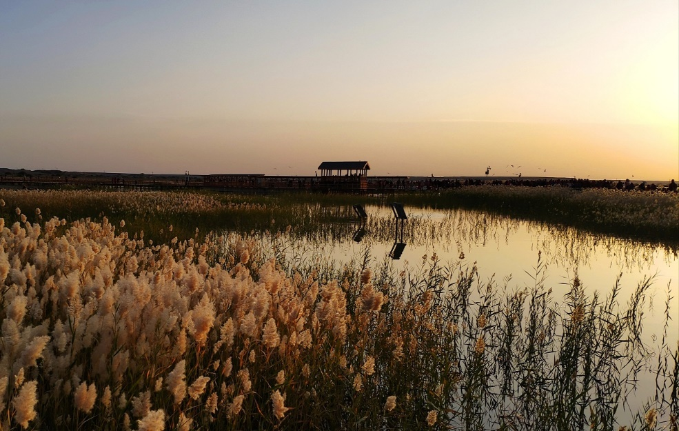 今居延海日出美景(圖源:網(wǎng)絡(luò))