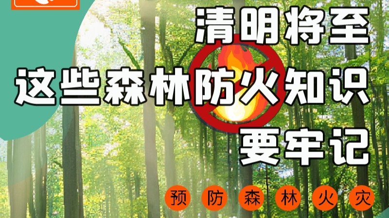 【甘快看】圖解|緊繃“安全弦”！清明，這些森林防火知識要牢記