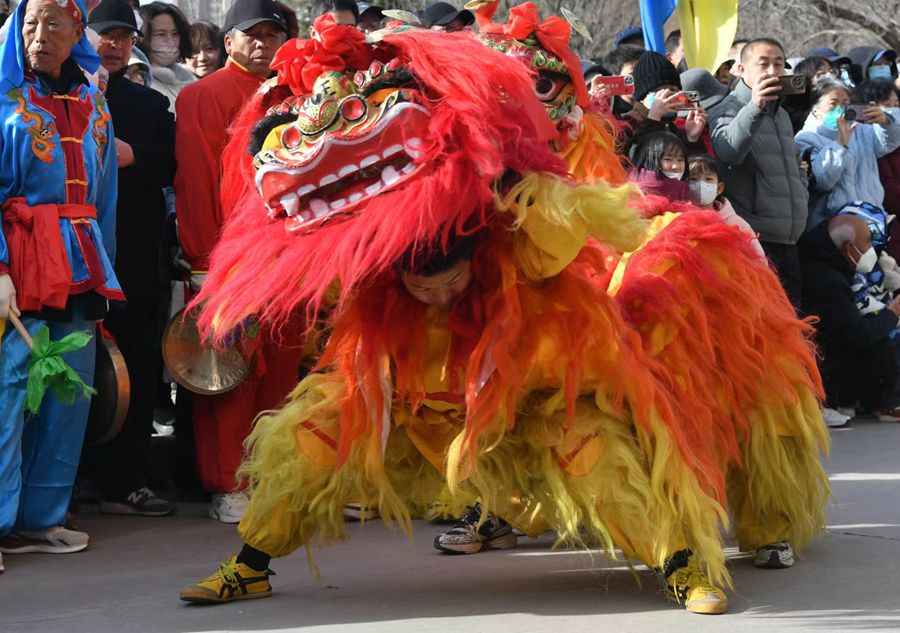 蘭州北獅表演現(xiàn)場(chǎng)。受訪者供圖