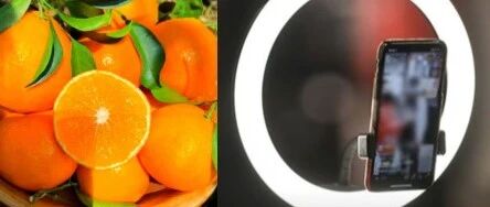 聲稱“橙子提高免疫力”、“悲情助農(nóng)”等類案頻發(fā)，敲響各單位直播帶貨警鐘