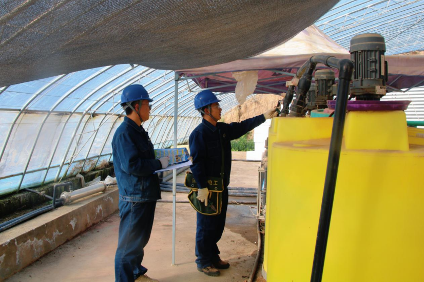 國網(wǎng)甘肅電力：春雷驚蟄萬物生 電力護航農(nóng)耕忙