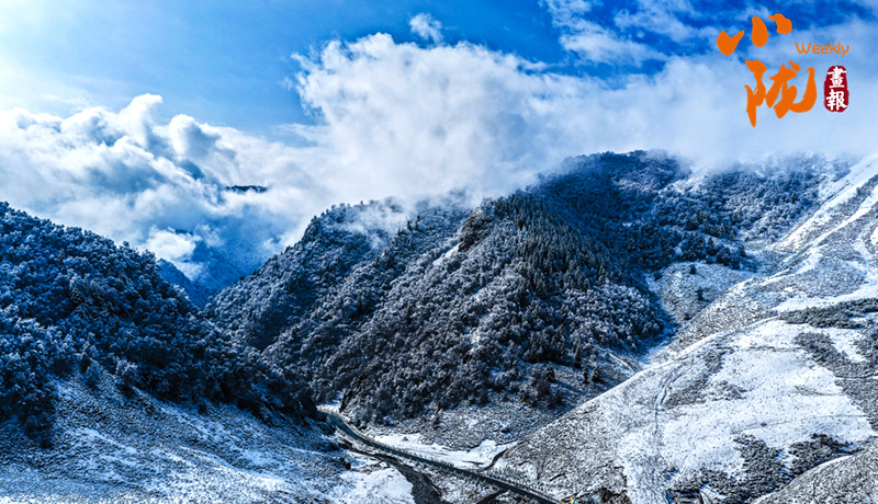  【小隴畫報·472期】春雪落天祝 揮就一幅潑墨寫意
